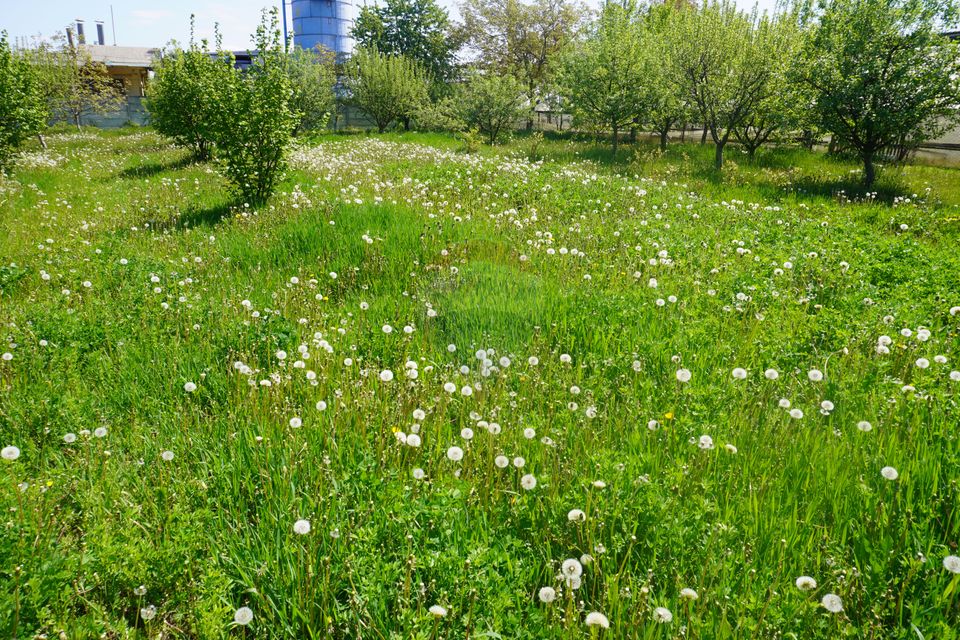 Land 4,076sqm Sarasau / Drumul PRINCIPAL