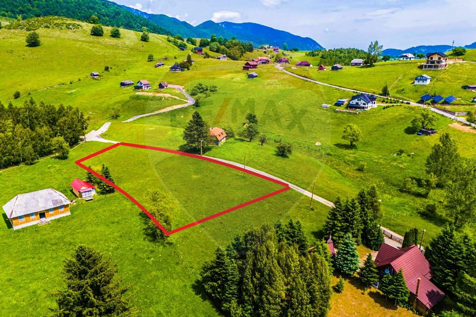 Land 2,687sqm Sirnea / Strada Principala