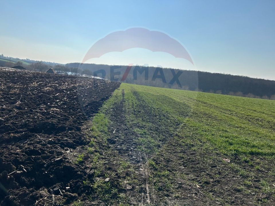 Land 17,320sqm Moara Vlasiei / None
