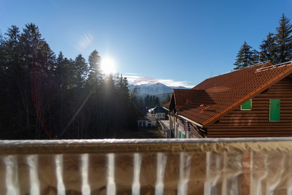 14 room House / Villa for sale, Cioplea area