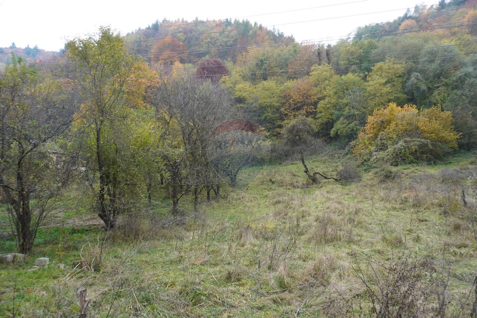 Land 35,232sqm Sighetu Marmatiei / Strada Valea Cufundoasa