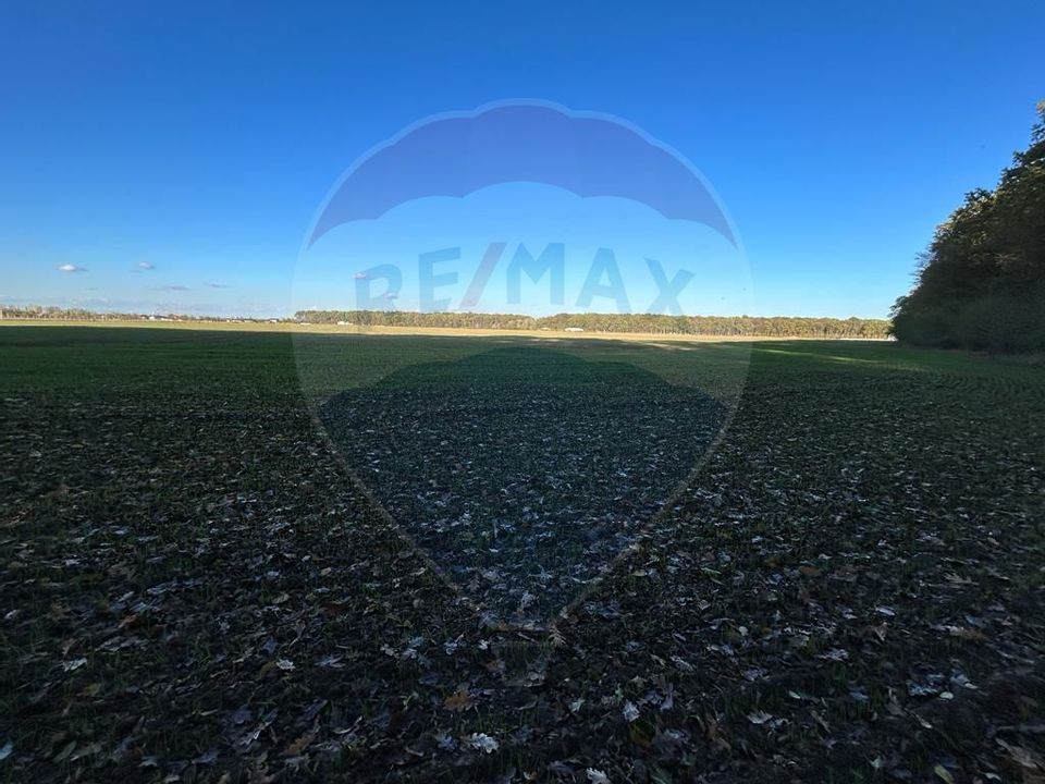 Land 10,000sqm Ciolpani / Strada Plopului