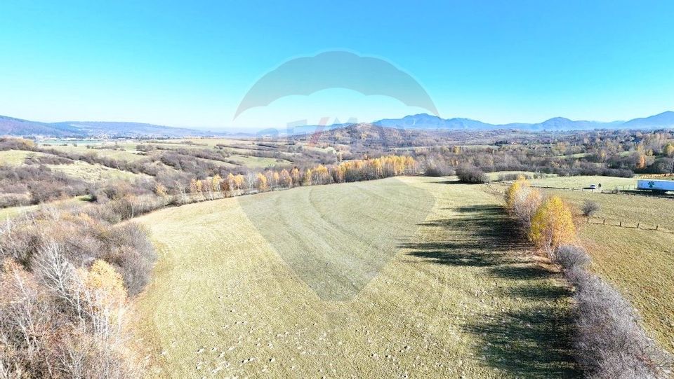 Land 17,100sqm Zarnesti / Strada Tohanita