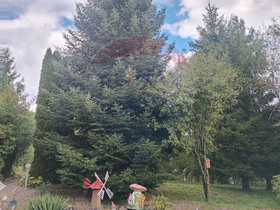 OCAZIE!!! CASA SUPERBA cu teren in JULITA jud Arad in M tii Zarandului