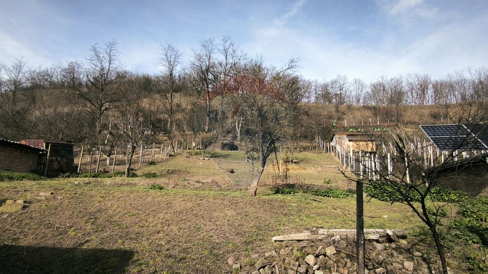 Casă  la țară in Transilvania - sat sasesc Păucea, jud. Sibiu