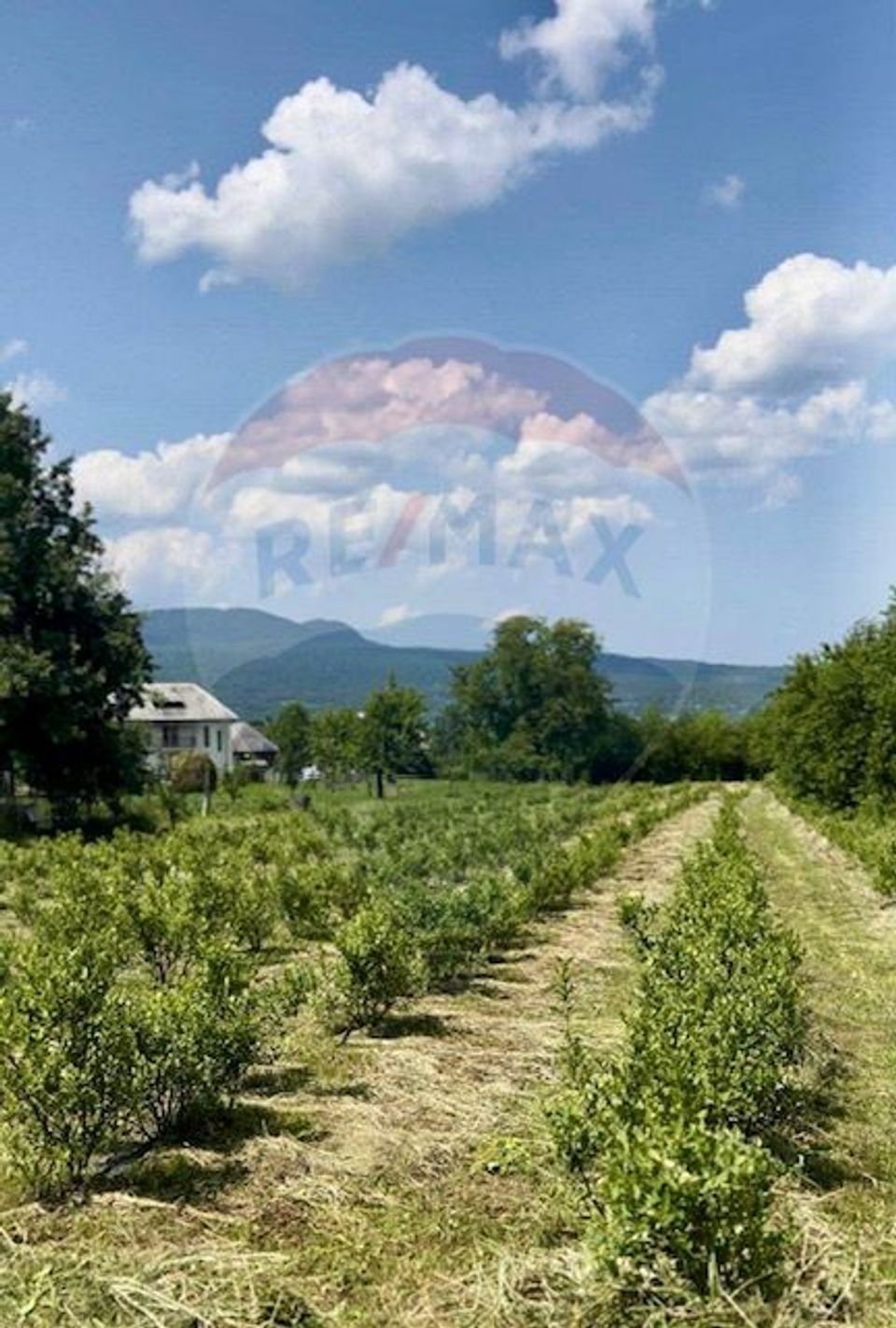 Teren 6,900mp Breb / Strada PRINCIPALA