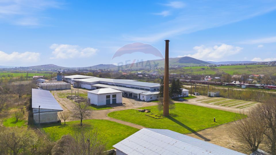 Spațiu industrial 4.4Ha Teren și 15.000mpc - Zona Industrială - Hârlău