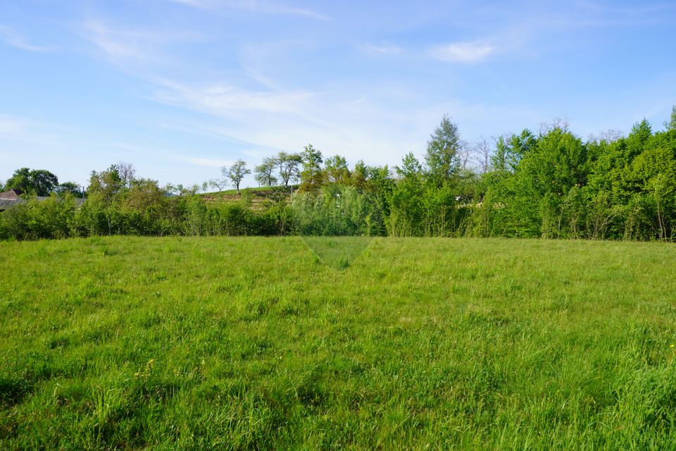 Land 33,137sqm Sighetu Marmatiei / Strada Mocăniței