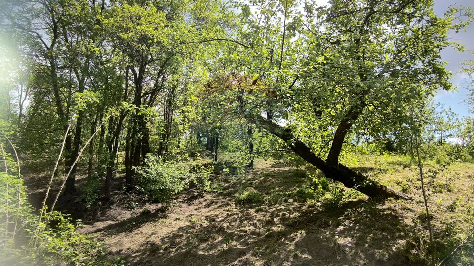 Land 3,269sqm Slimnic / Strada Dupa Cetate