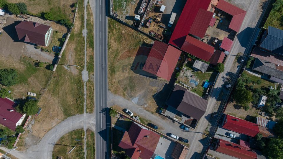 Proiectul Tău de Vis Începe Aici – Casă Nouă, 588 mp Teren, Cărpiniș