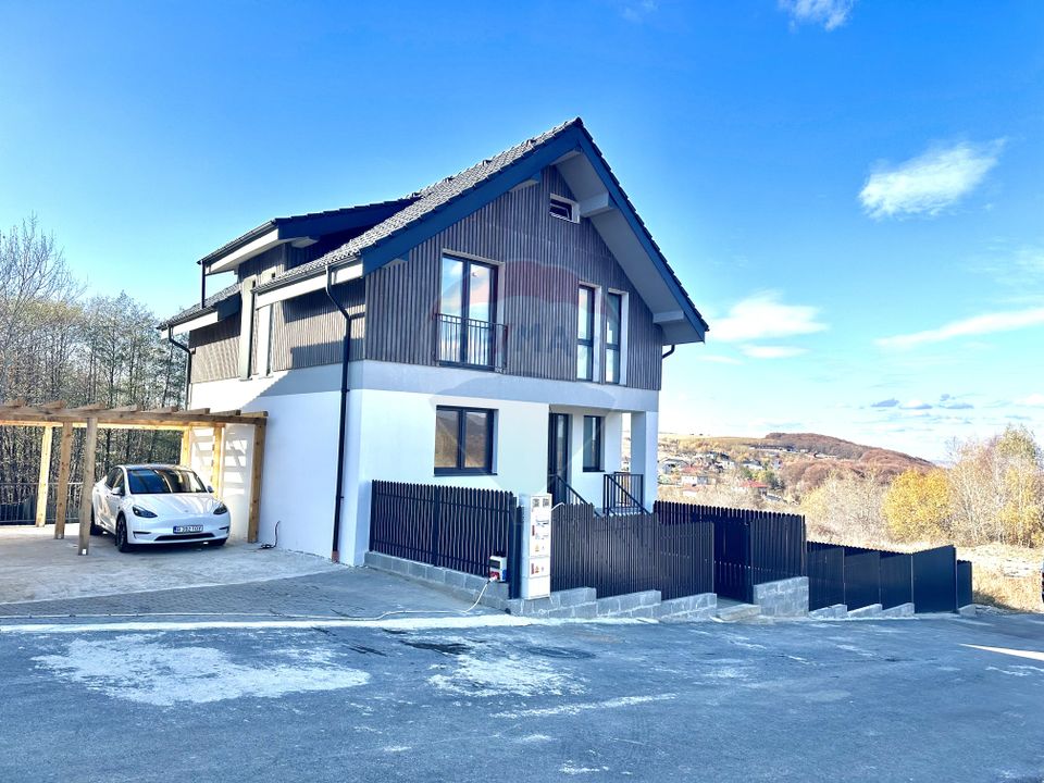 Casa individuala de vanzare in Salicea! 166 MP