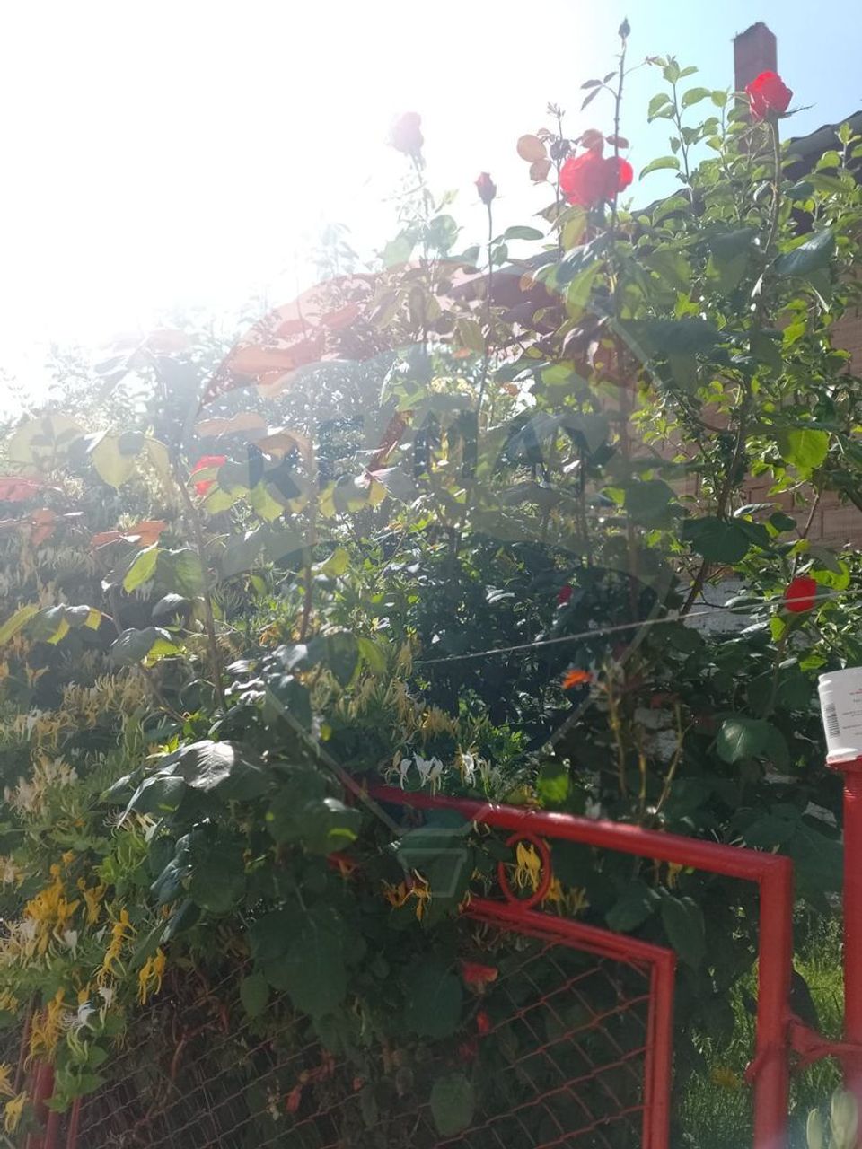 Casa cu 4 camere si gradina, Dacia 70 km de Brasov!