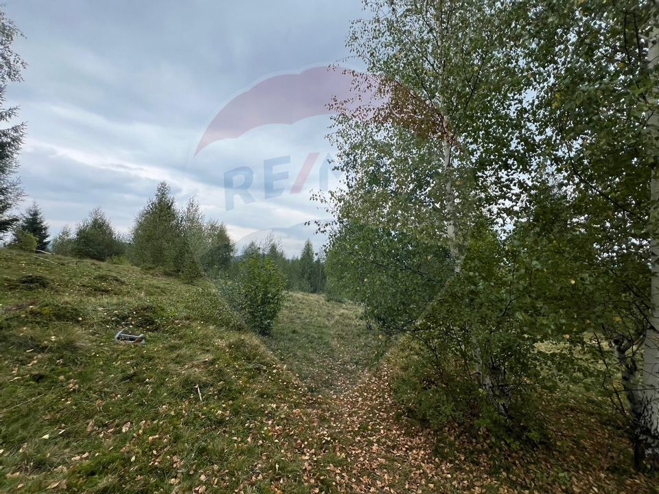 Teren extravilan parcelabil Călățele Pădure, zona Dealu Negru