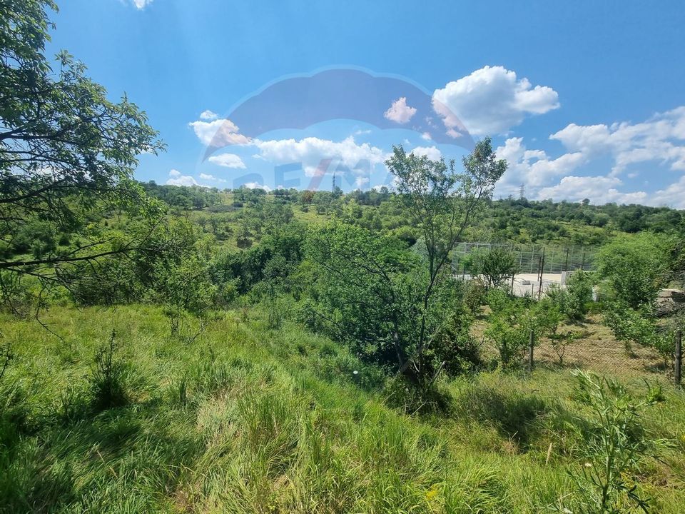 Land 11,622sqm Valenii de Munte / Strada Cismari