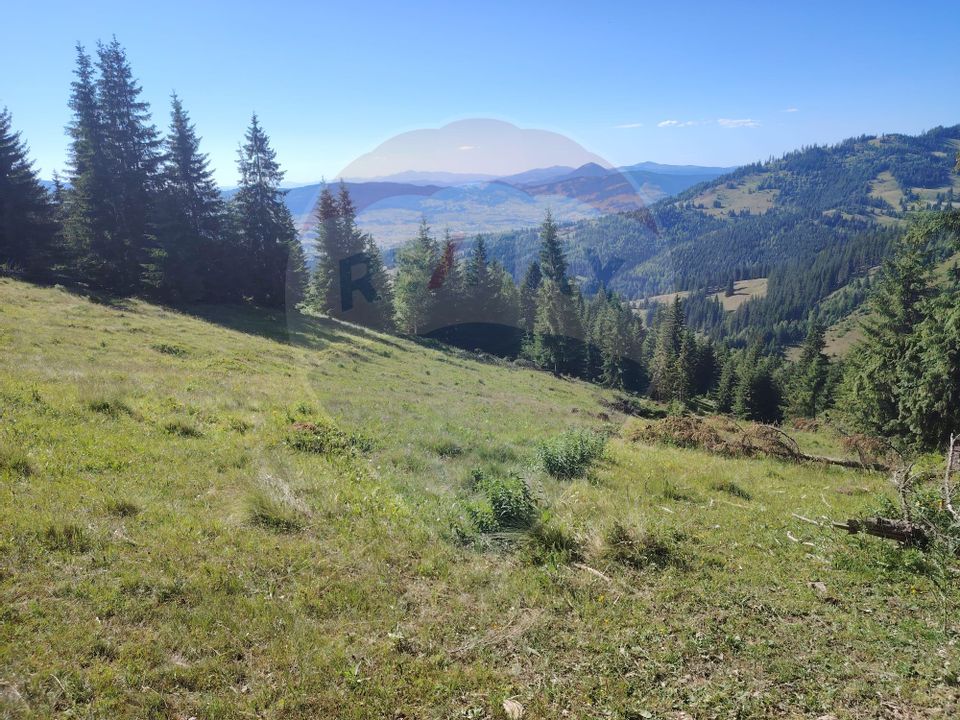 Teren 24,581mp Panaci / Strada Mihăileț