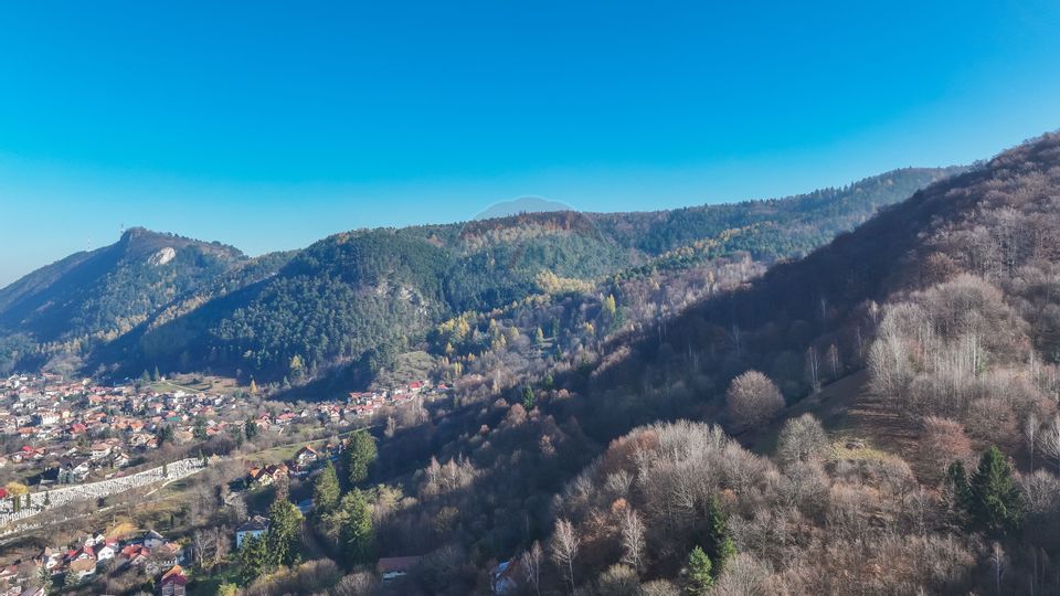 Teren Colinar Panoramic – 17.684 mp în Scheii Brașovului