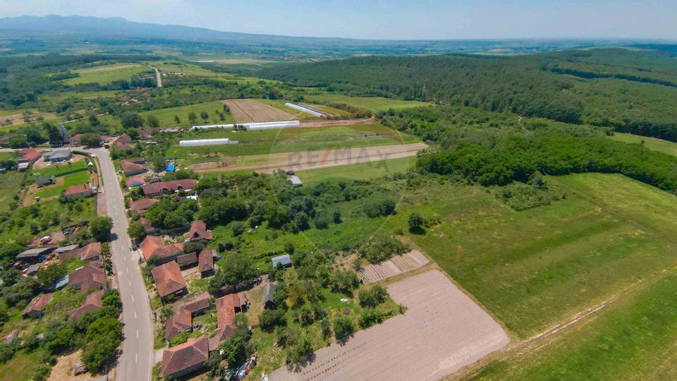 Casă  cu 3 camere și teren 4,342 mp de vânzare în Valea Mare de Codru