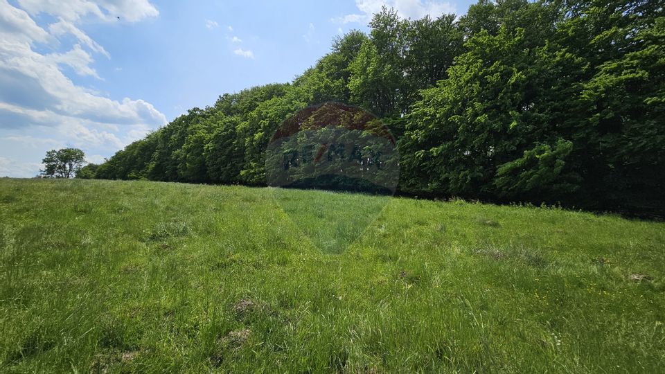 Teren Ilisesti  7000mp extravilan/ DN 17, Suceava