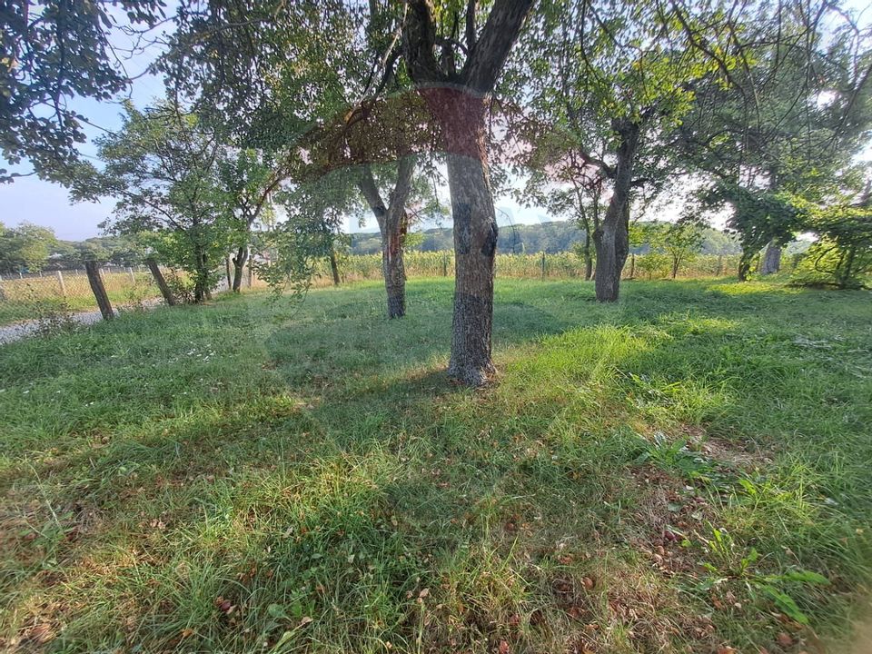 Casă de vânzare, 3 camere, langa manastirea Runc