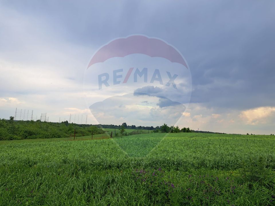 Teren Ciolpani 15.000 mp oportunitate posibilitate lotizare 5000 mp