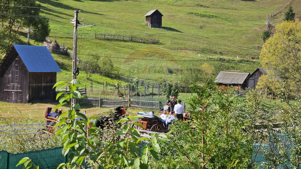 Casă / Vilă de vacanta in Dorna Arini, Suceava