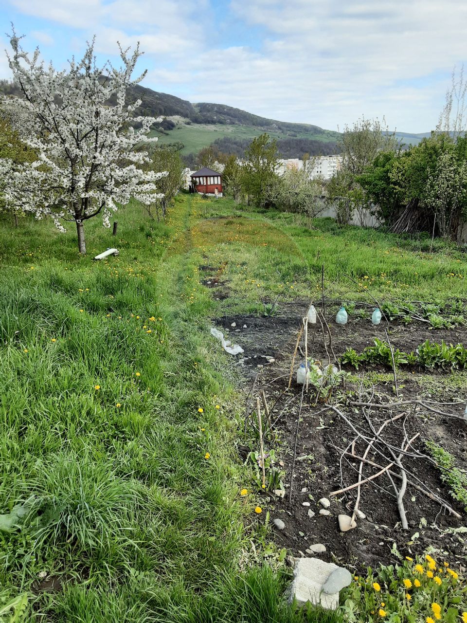 Teren 1,500mp Piatra-Neamt / Aleea Valea alba