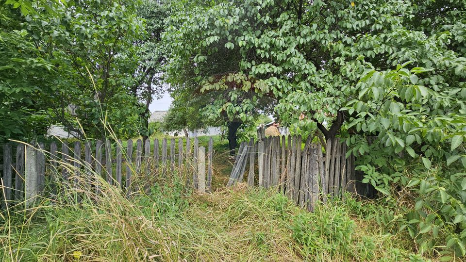 Casa  de vânzare cu teren 9200 mp, Pădureni-Șendriceni, Botoșani