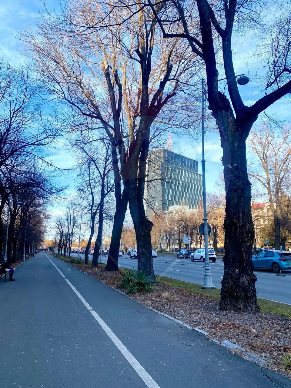 Spațiu comercial de 196.25mp de închiriat în zona Aviatorilor