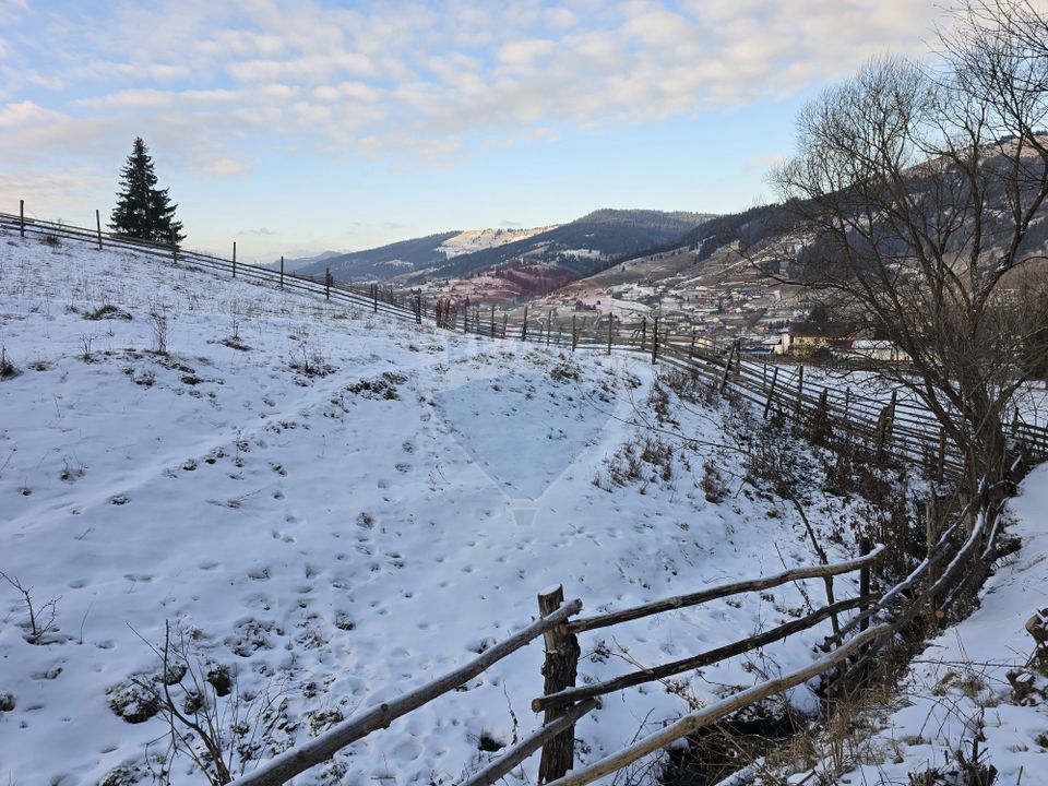 Teren 2,833mp Vatra Dornei / None