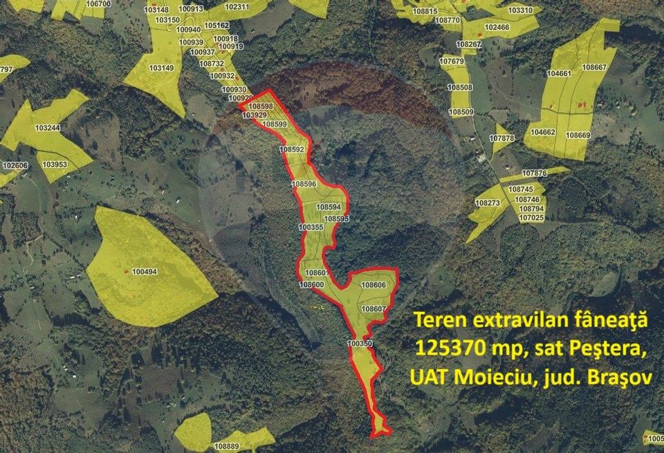 Investment opportunity ! Dream land in Pestera - 125,370 sqm