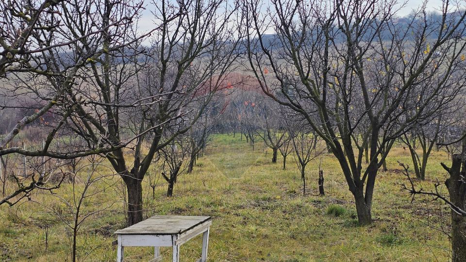 Teren extravilan 10,791mp Falticeni / Strada DJ209A, Opriseni