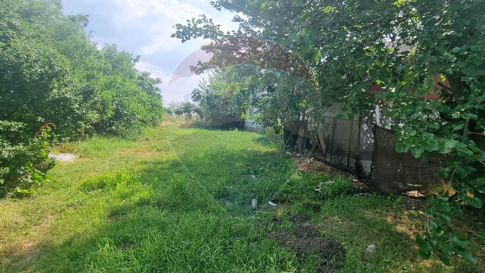 Land 1,300sqm Balotesti / Strada Tarina Veche