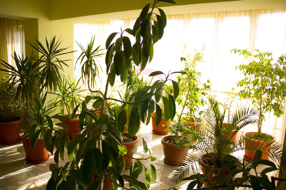 Hotel de vanzare Buftea IF –Cu 40 de camere