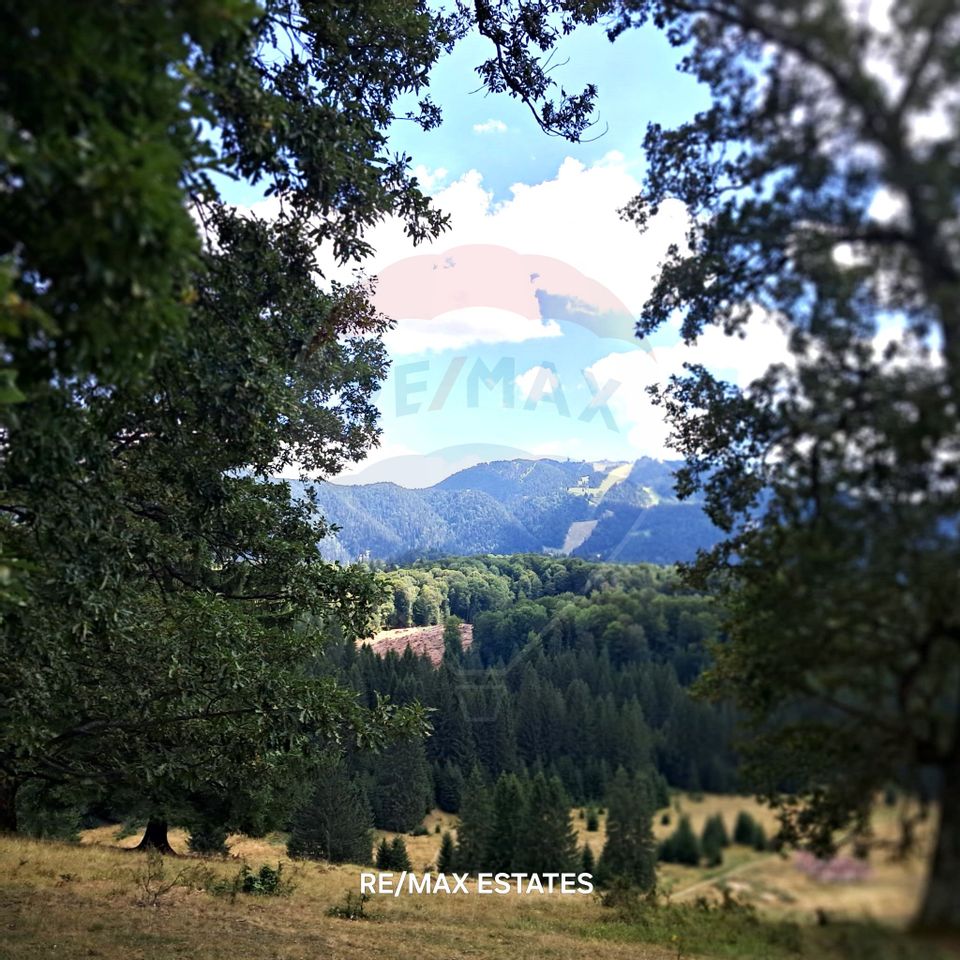 Teren 4,698mp Poiana Brasov / Strada Pastorului