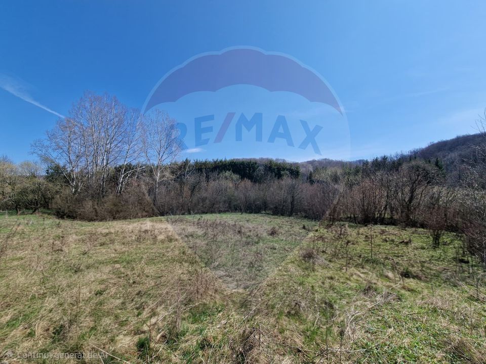 Teren 9,428mp Podiș / Calea Moinesti