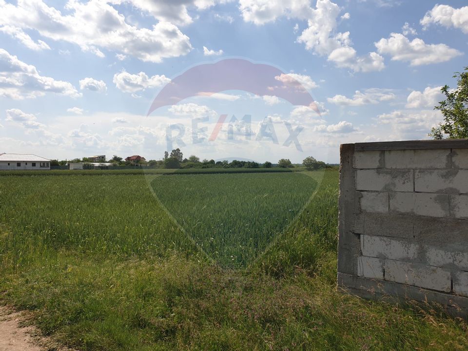 INVESTMENT OPPORTUNITY | Built-up land Dârză- Crevedia | 13Eur/sqm
