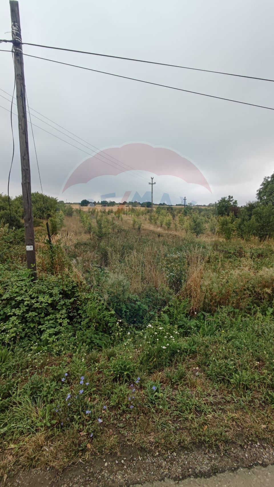 Teren 2.341 mp Uileacu de Munte front 26 ml la drum asfaltat