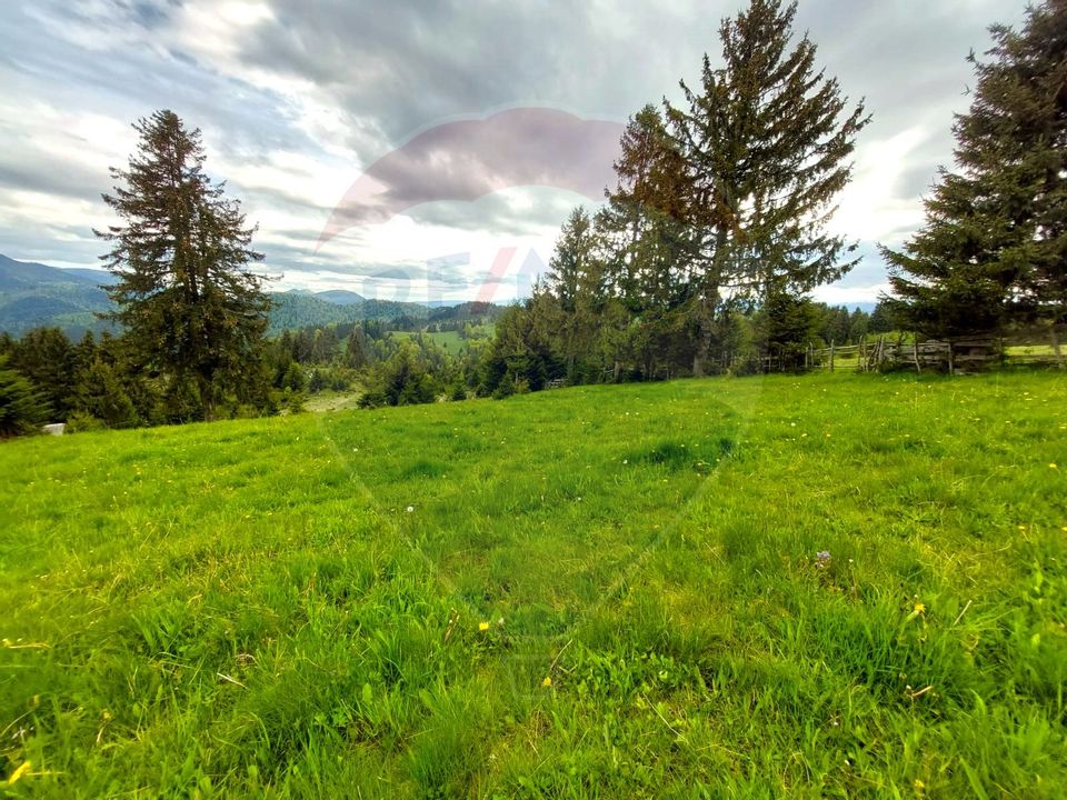 O fereastră către cer – teren de vis în Fundata, la poalele Bucegilor