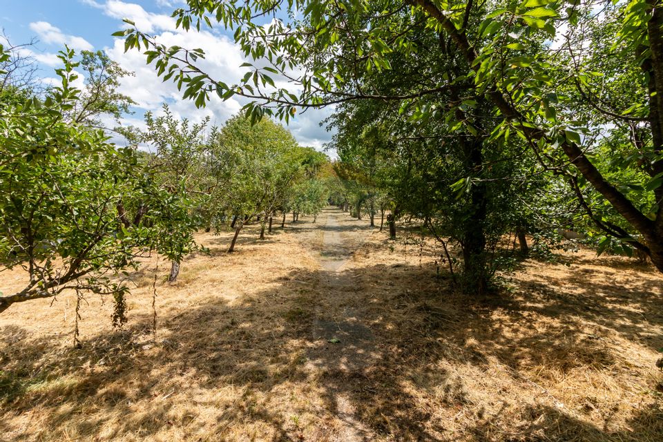 Snagov Villa for Sale | Pool, Orchard, 8 Rooms | 3077 sqm land