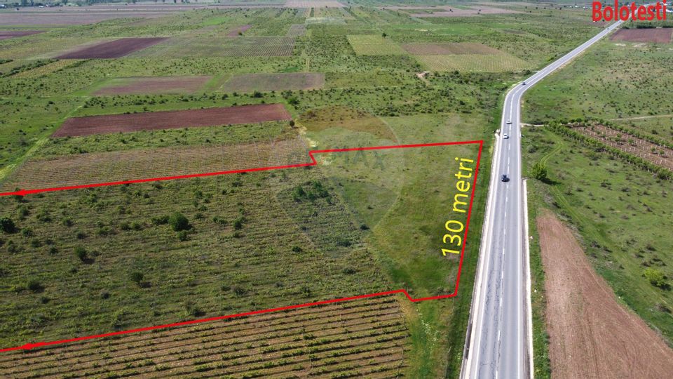 Land 33,000sqm Bolotesti / DJ DN2D