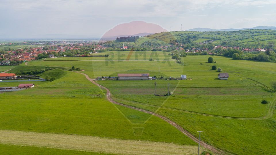 Teren1377 mp Tarlungeni / Strada Republicii