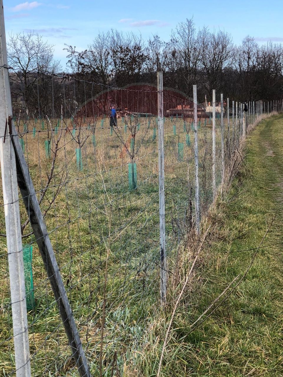 Land 6,000sqm Lugasu de Jos / Strada principala