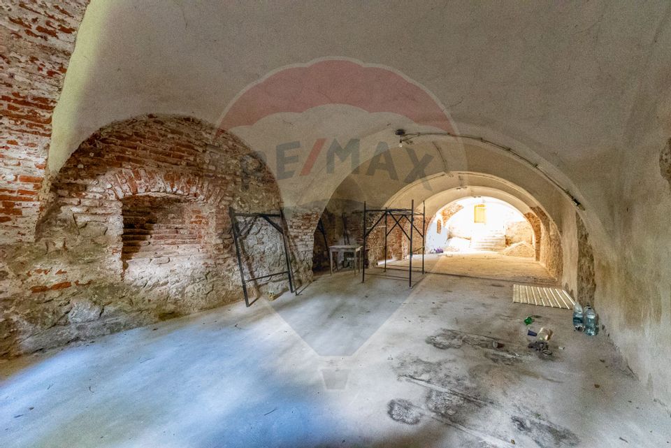 Conac aristocratic secolul XIX , domeniu  2,5 hectare — Păuliș, Arad