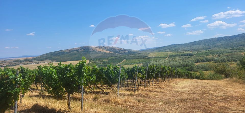 Land 70,000sqm Maderat / Strada principala