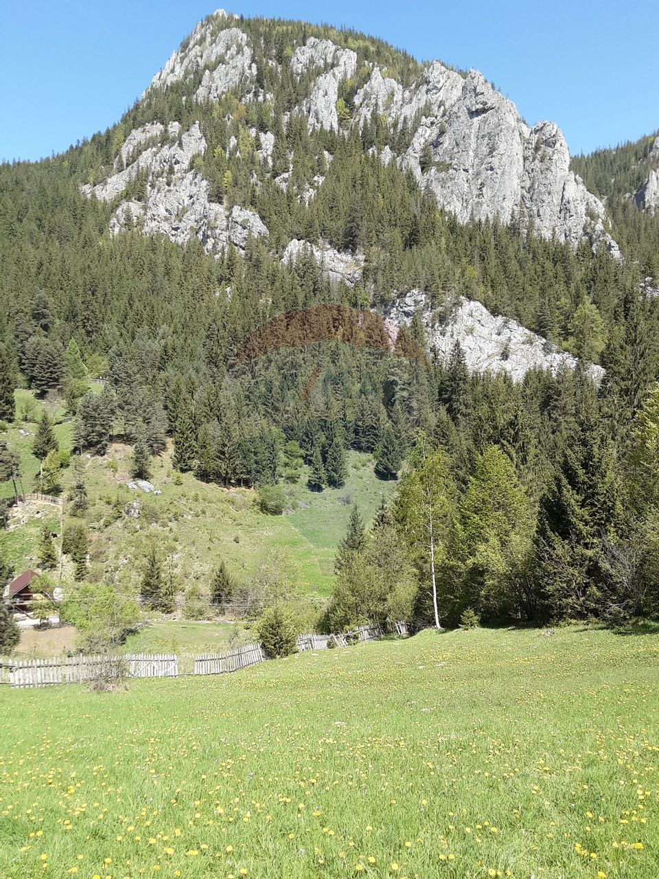 Land 8,619sqm Bicaz-Chei / Strada Sugaului