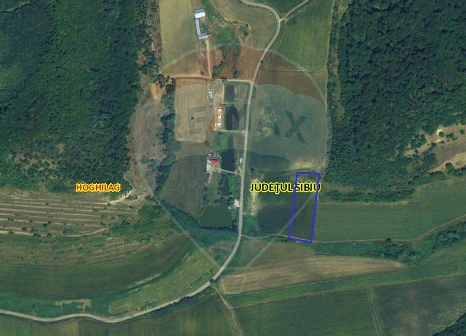 Teren pentru cabana 7.000mp in  Hoghilag, Tărâmul Tuberozelor