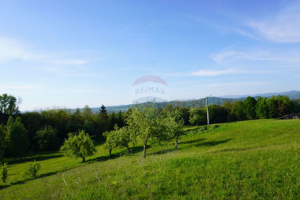 Land 38,592sqm Sighetu Marmatiei / Strada Mocăniței