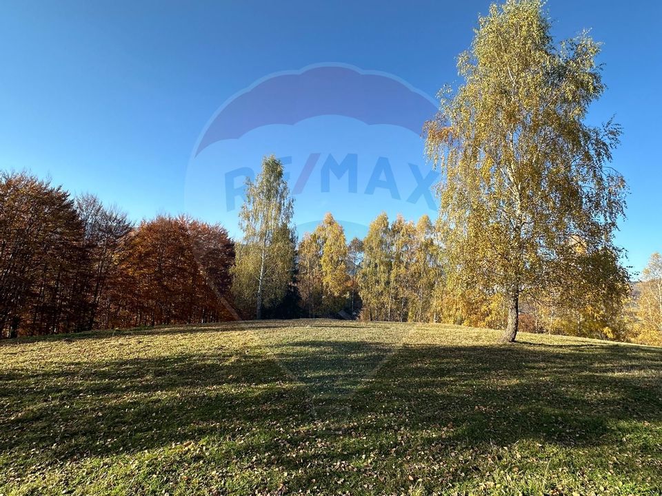 Investment opportunity ! Dream land in Pestera - 125,370 sqm