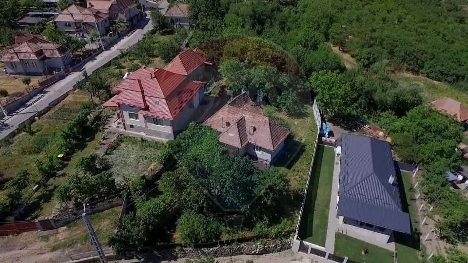 Casa cu gradina de vanzare in Copaceni