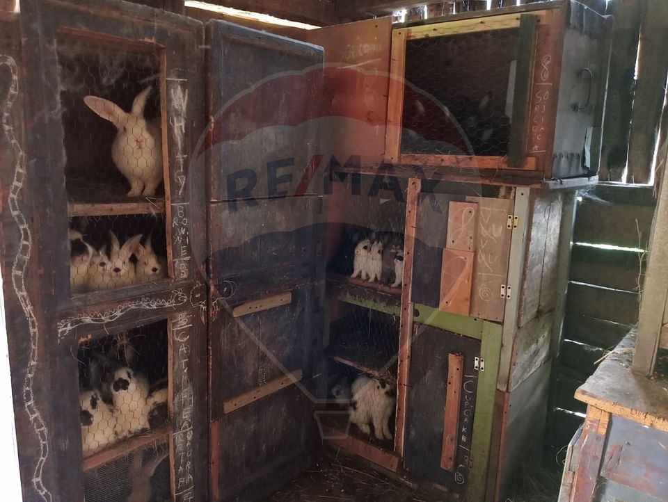 Vanzare casa  4 camere-microferma, cu panouri fotovoltaice